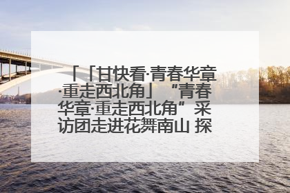 「甘快看·青春华章·重走西北角」“青春华章·重走西北角”采访团走进花舞南山 探寻天水乡村振兴之路