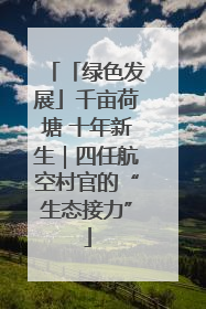 「绿色发展」千亩荷塘 十年新生｜四任航空村官的“生态接力”