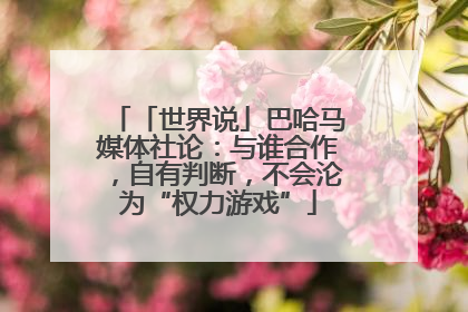 「世界说」巴哈马媒体社论：与谁合作，自有判断，不会沦为“权力游戏”