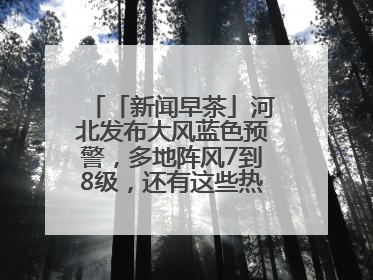 「新闻早茶」河北发布大风蓝色预警，多地阵风7到8级，还有这些热点……