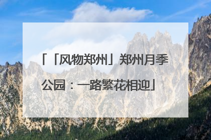 「风物郑州」郑州月季公园：一路繁花相迎