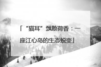 “猫耳”飘散荷香：一座江心岛的生态蜕变