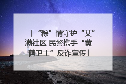 “粽”情守护“艾”满社区 民警携手“黄鹤卫士”反诈宣传