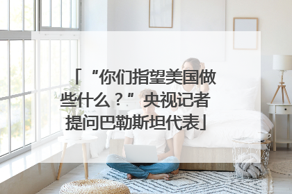 “你们指望美国做些什么？”央视记者提问巴勒斯坦代表