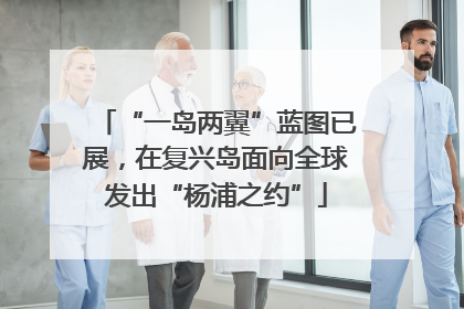 “一岛两翼”蓝图已展，在复兴岛面向全球发出“杨浦之约”