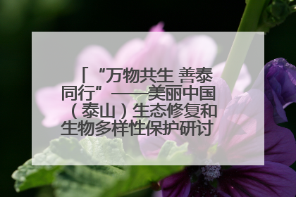 “万物共生 善泰同行”——美丽中国（泰山）生态修复和生物多样性保护研讨会成功举办
