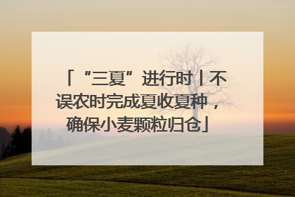 “三夏”进行时丨不误农时完成夏收夏种，确保小麦颗粒归仓