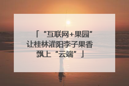 “互联网+果园”让桂林灌阳李子果香飘上“云端”