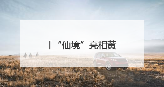 “仙境”亮相黄浦江畔，三大优惠游玩政策等你来
