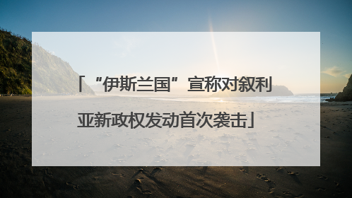 “伊斯兰国”宣称对叙利亚新政权发动首次袭击