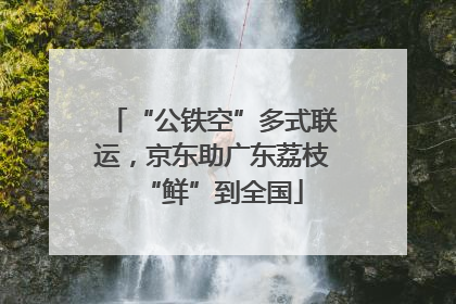“公铁空”多式联运，京东助广东荔枝“鲜”到全国