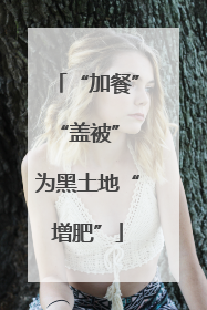 “加餐”“盖被” 为黑土地“增肥”
