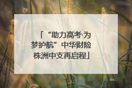 “助力高考·为梦护航”中华财险株洲中支再启程