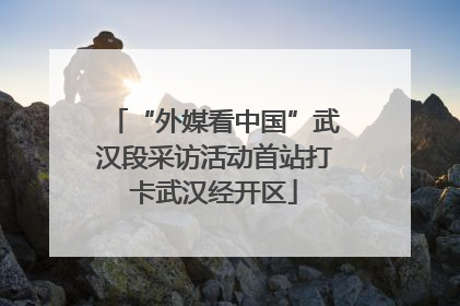 “外媒看中国”武汉段采访活动首站打卡武汉经开区