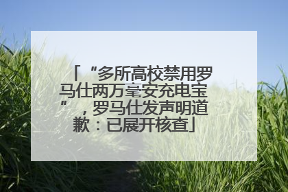 “多所高校禁用罗马仕两万毫安充电宝”，罗马仕发声明道歉：已展开核查