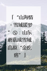 “山海情・雪域援梦”⑤：山东蘑菇成雪域高原“金疙瘩”