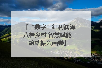 “数字”红利润泽八桂乡村 智慧赋能绘就振兴画卷