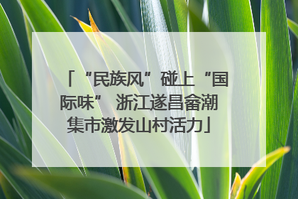 “民族风”碰上“国际味” 浙江遂昌畲潮集市激发山村活力