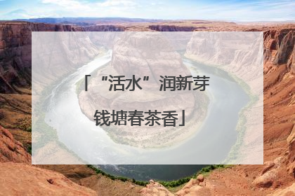 “活水”润新芽 钱塘春茶香