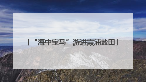 “海中宝马”游进霞浦盐田