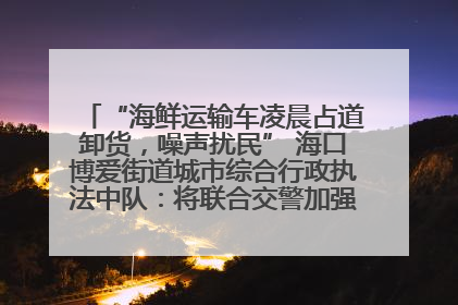 “海鲜运输车凌晨占道卸货，噪声扰民” 海口博爱街道城市综合行政执法中队：将联合交警加强长堤路一带巡逻