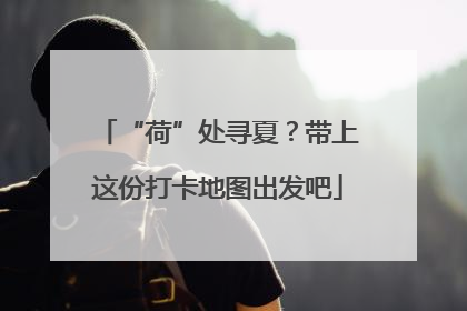 “荷”处寻夏？带上这份打卡地图出发吧