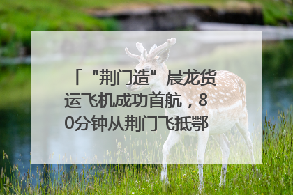 “荆门造”晨龙货运飞机成功首航，80分钟从荆门飞抵鄂州花湖机场