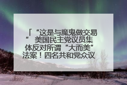 “这是与魔鬼做交易” 美国民主党议员集体反对所谓“大而美”法案！四名共和党众议员投反对票