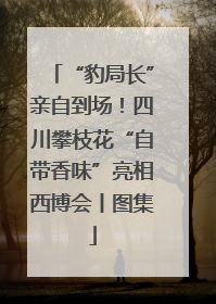 “豹局长”亲自到场！四川攀枝花“自带香味”亮相西博会丨图集