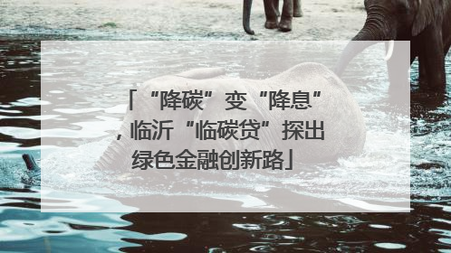 “降碳”变“降息”，临沂“临碳贷”探出绿色金融创新路