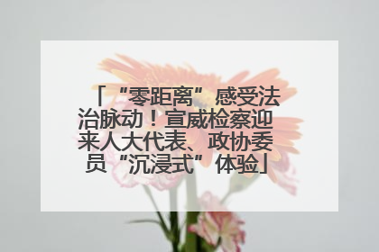 “零距离”感受法治脉动！宣威检察迎来人大代表、政协委员“沉浸式”体验