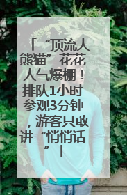 “顶流大熊猫”花花人气爆棚！排队1小时参观3分钟，游客只敢讲“悄悄话”