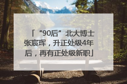“90后”北大博士张宸珲，升正处级4年后，再有正处级新职
