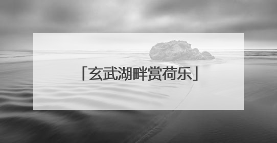 玄武湖畔赏荷乐