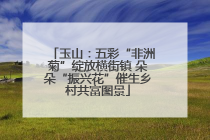 玉山：五彩“非洲菊”绽放横街镇 朵朵“振兴花”催生乡村共富图景