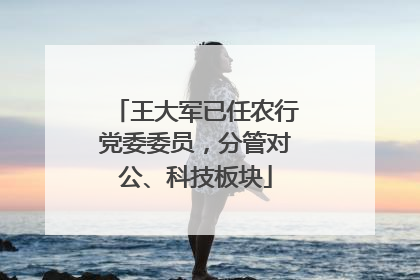王大军已任农行党委委员，分管对公、科技板块