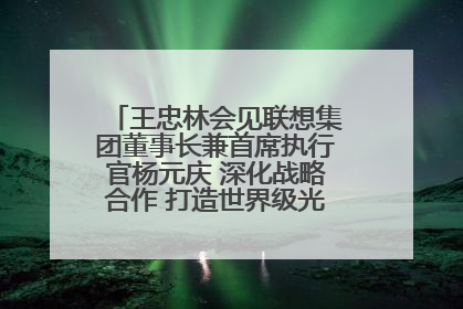 王忠林会见联想集团董事长兼首席执行官杨元庆 深化战略合作 打造世界级光电子信息产业集群