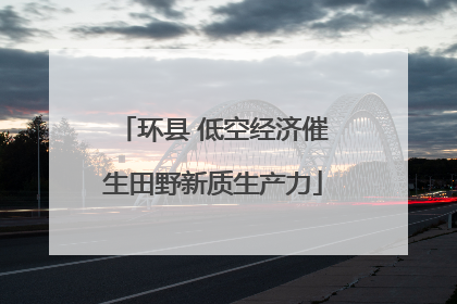环县 低空经济催生田野新质生产力
