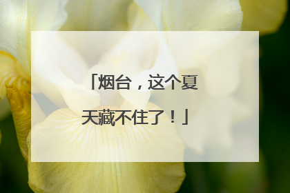 烟台，这个夏天藏不住了！