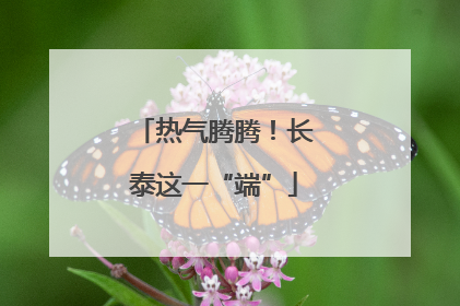 热气腾腾！长泰这一“端”