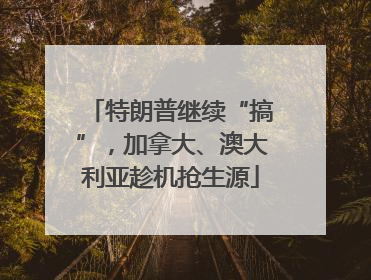 特朗普继续“搞”，加拿大、澳大利亚趁机抢生源