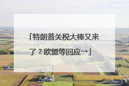 特朗普关税大棒又来了？欧盟等回应→