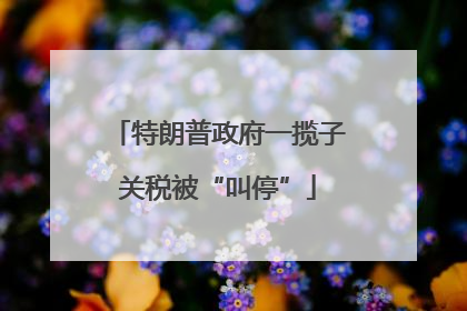 特朗普政府一揽子关税被“叫停”