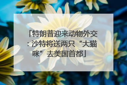 特朗普迎来动物外交：沙特将送两只“大猫咪”去美国首都