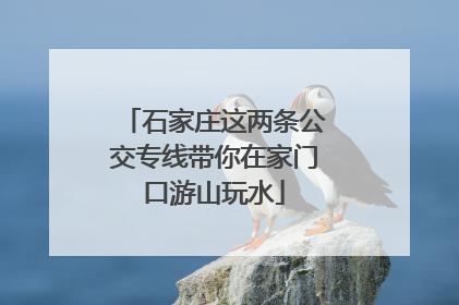 石家庄这两条公交专线带你在家门口游山玩水