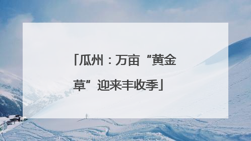 瓜州：万亩“黄金草”迎来丰收季