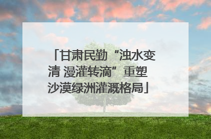 甘肃民勤“浊水变清 漫灌转滴”重塑沙漠绿洲灌溉格局