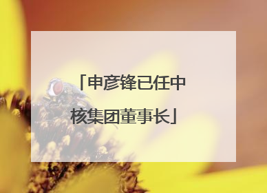 申彦锋已任中核集团董事长