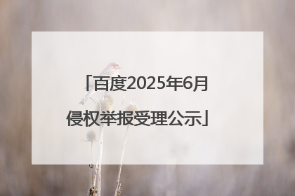 百度2025年6月侵权举报受理公示