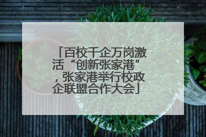 百校千企万岗激活“创新张家港”，张家港举行校政企联盟合作大会